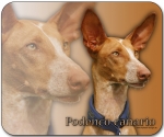 Mousepad Podenco